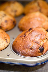Muffins#2