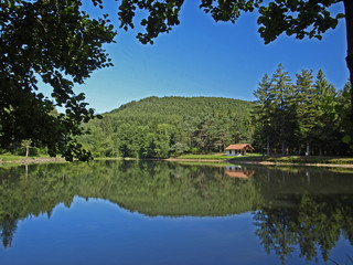 Obraz premium ETANG VOSGIEN