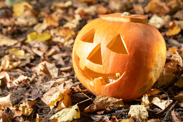 Creepy carved pumpkin face, with a smile, in park