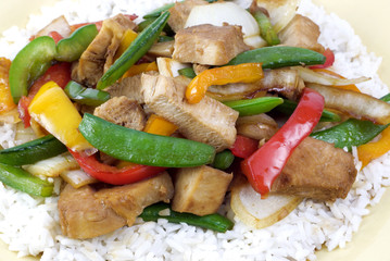 Teriyaki Chicken on Rice