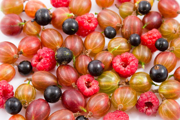 Ripe berries