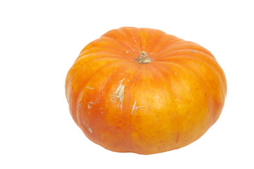 The big isolated ripe pumpkin