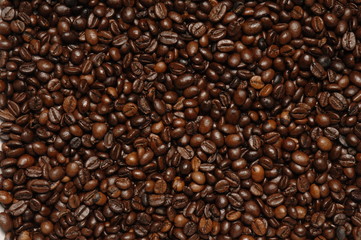 Fototapeta premium Geröstete Kaffeebohnen bildfüllend
