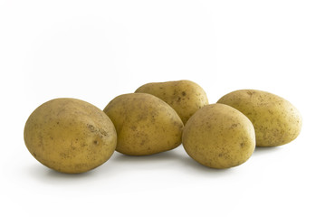 Potato group