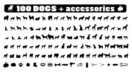 100 dogs icons and Dog accessories,vector pet emblem, dogs staff - 17809456