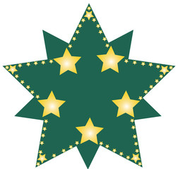 Grüner Weihnachtsstern