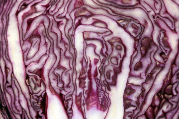 Obraz premium Rotkohl