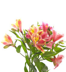 Bouquet with orchids closeup