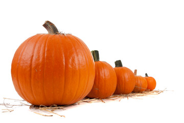 Assorted sizes of pumpkins on hay on white