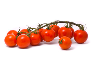 Cherry tomatoes on studio white background.