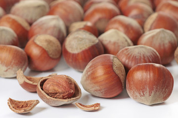 hazelnuts