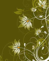 Floral abstraction for design