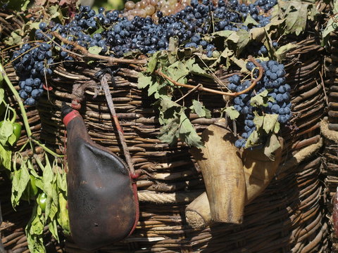 Uvas negras y bota de vino
