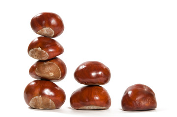 Horse chestnut's composition