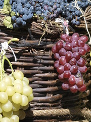 Racimos de distintos tipos de uvas