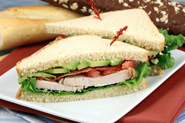 sandwich  with oven roasted turkey