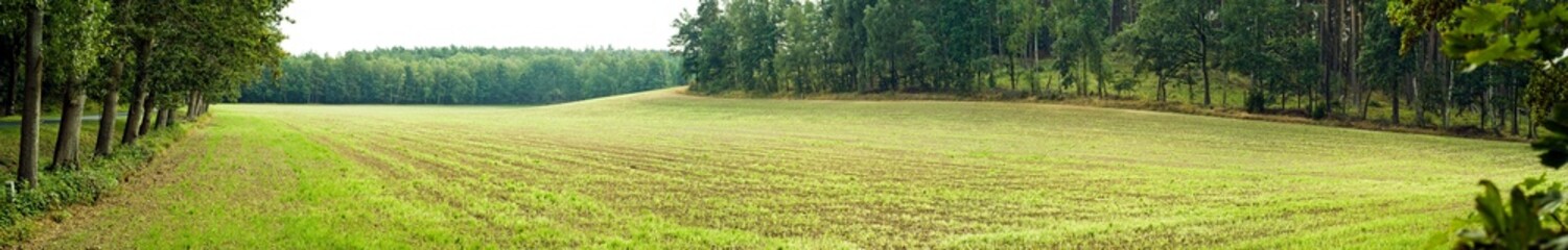 Fototapeta premium panoramic landscape with dramatic clouds