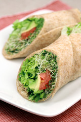 sandwich wrap organic style