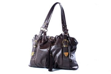 Luxury Hand Bag / Purse