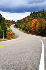 Fall highway