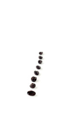 Row of Coffee Beans