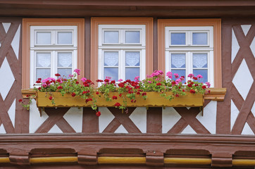 Fototapeta na wymiar Fenster in Wernigerode