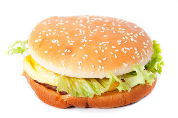 hamburger