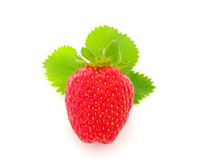 fresh  strawberry