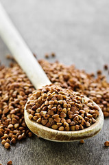 Buckwheat grain