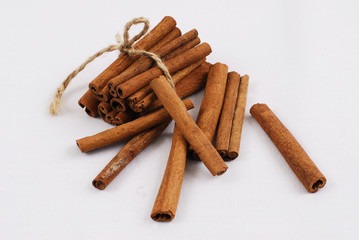 aroma - bark - spice