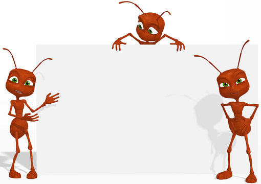 Red ant 02
