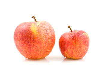 Two sizes of apples over white background