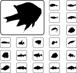 Fish. Set of 12 round vector buttons for web