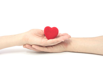 Obraz premium The Heart in hands.