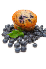 Blueberry Muffin