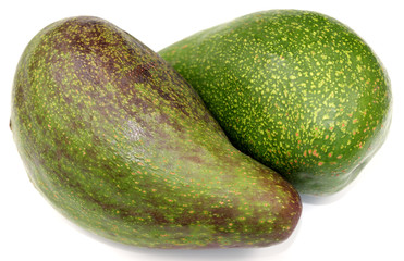 avocat