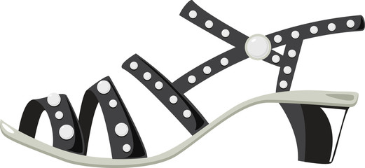 Fototapeta premium shoe