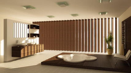 Modern interior of a bathroom