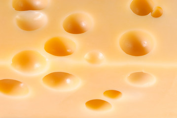 Piece of tasty cheese