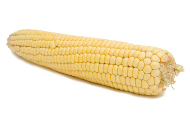 Corn  cob