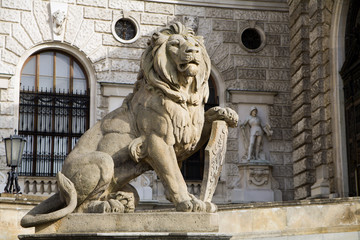 Obraz premium Vienna - lion for national library