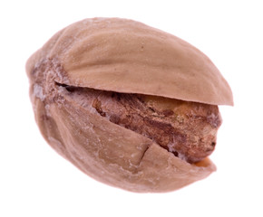 single pistachio on white