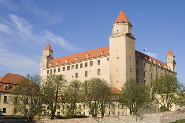 Fototapeta na wymiar castle in bratislava