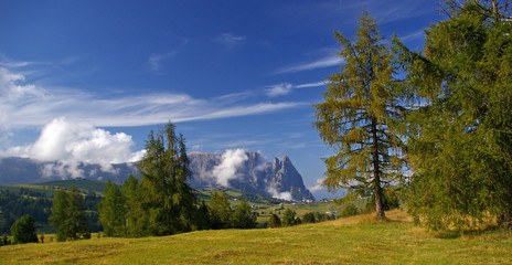Die weltberühmte Seiser Alm