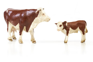 bovins miniature