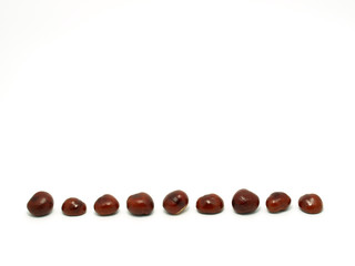 Chestnuts