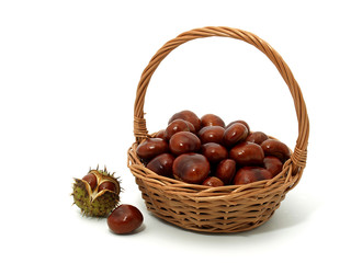 Chestnuts in the basket