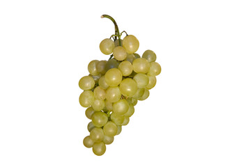 Uva bianca