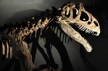 Obraz premium dinozaur