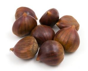 chestnuts conkers